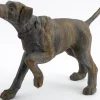 Blakeley, Dog