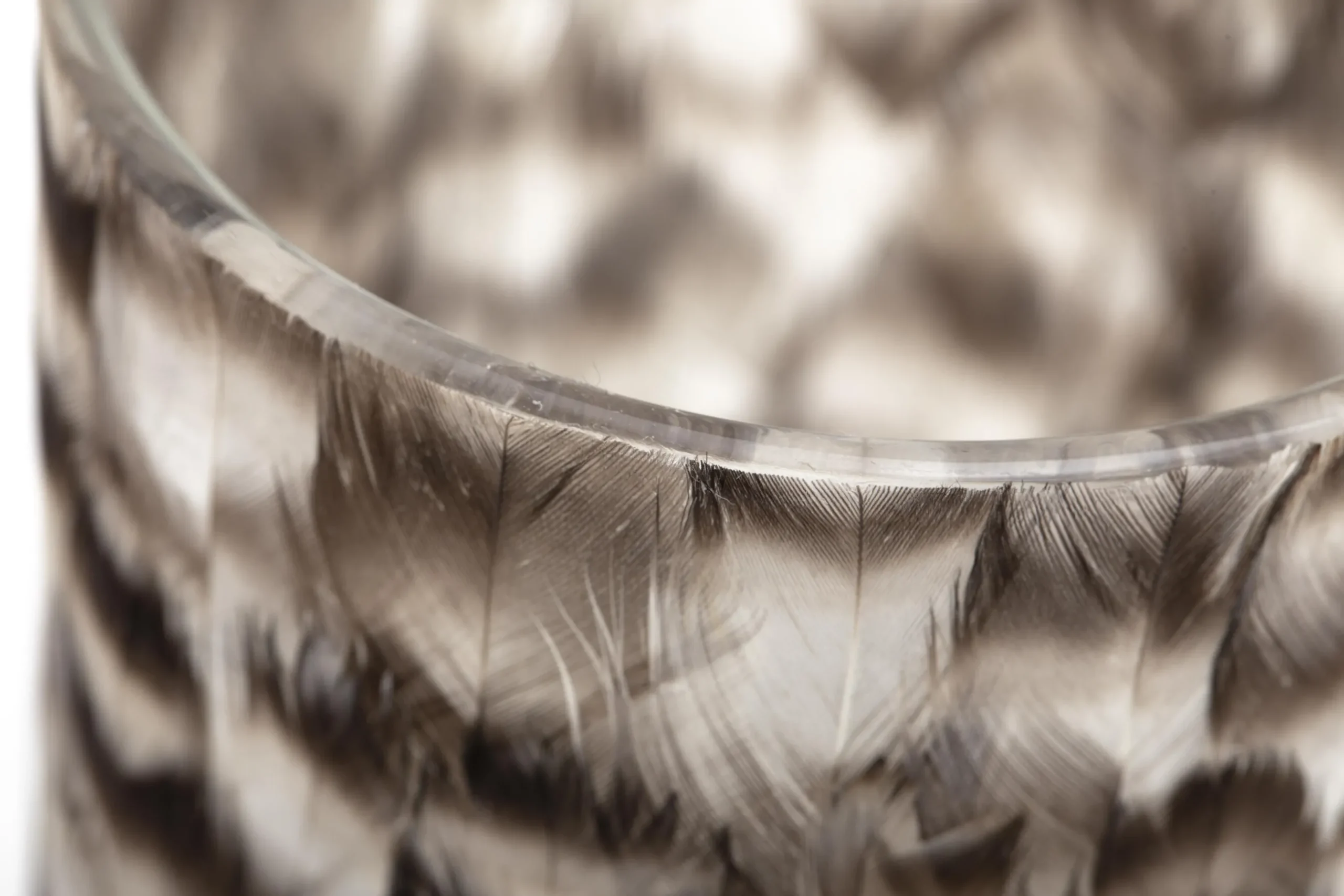 Hannigan, Tea Light Holder, Feathers, L