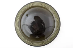 Kemi, Dish, Glass