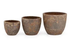 Kronob, Planter, L
