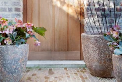 Kronob, Planter, M