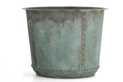 Manoli, Planter, L