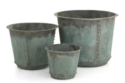 Manoli, Planter, L