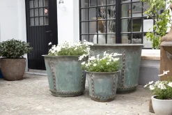 Manoli, Planter, M