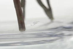Mirac, Vase, Glass, H30