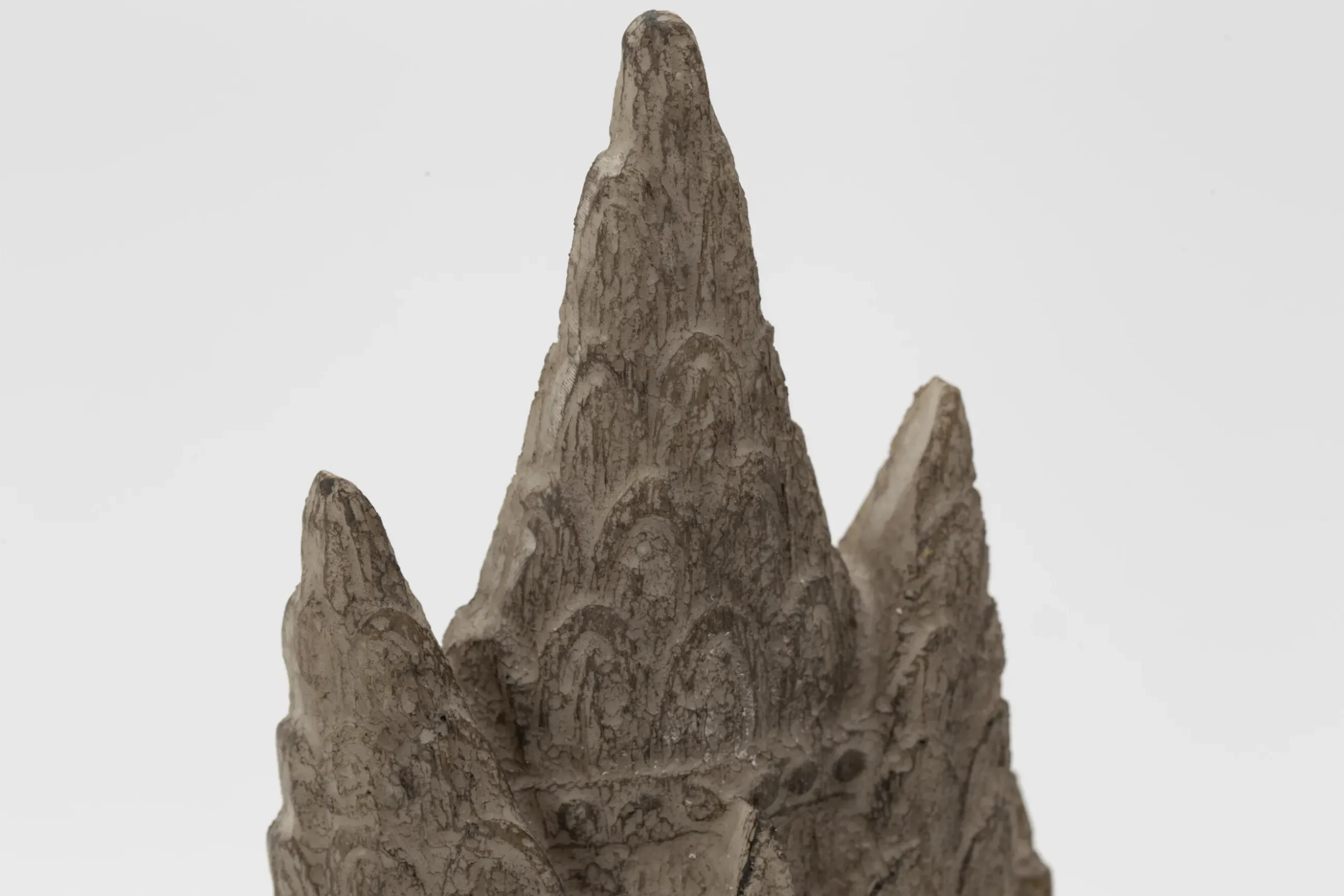 Sarash, Head