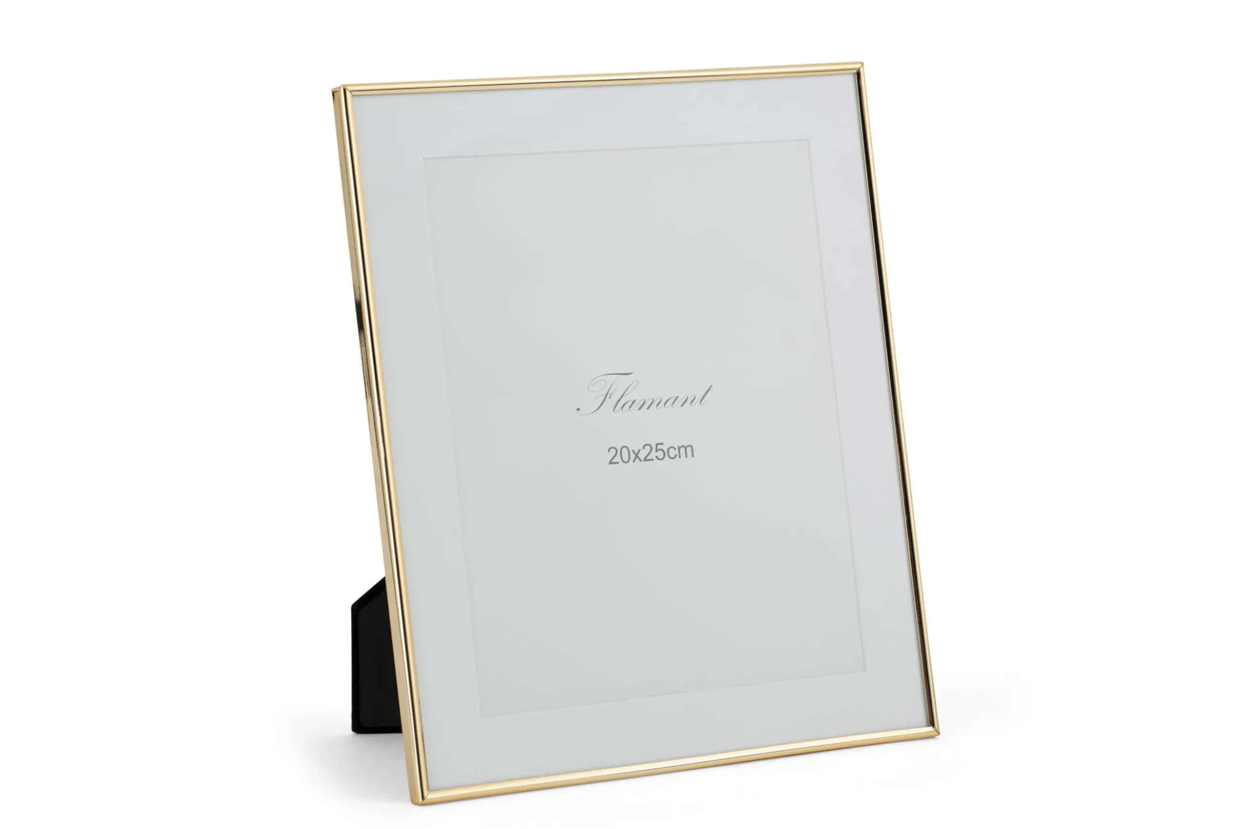 Talbot, Picture Frame, Gold Finish, 20X25