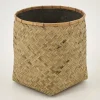 Tizio, Planter, M