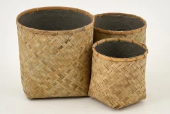 Topix, Planter, S