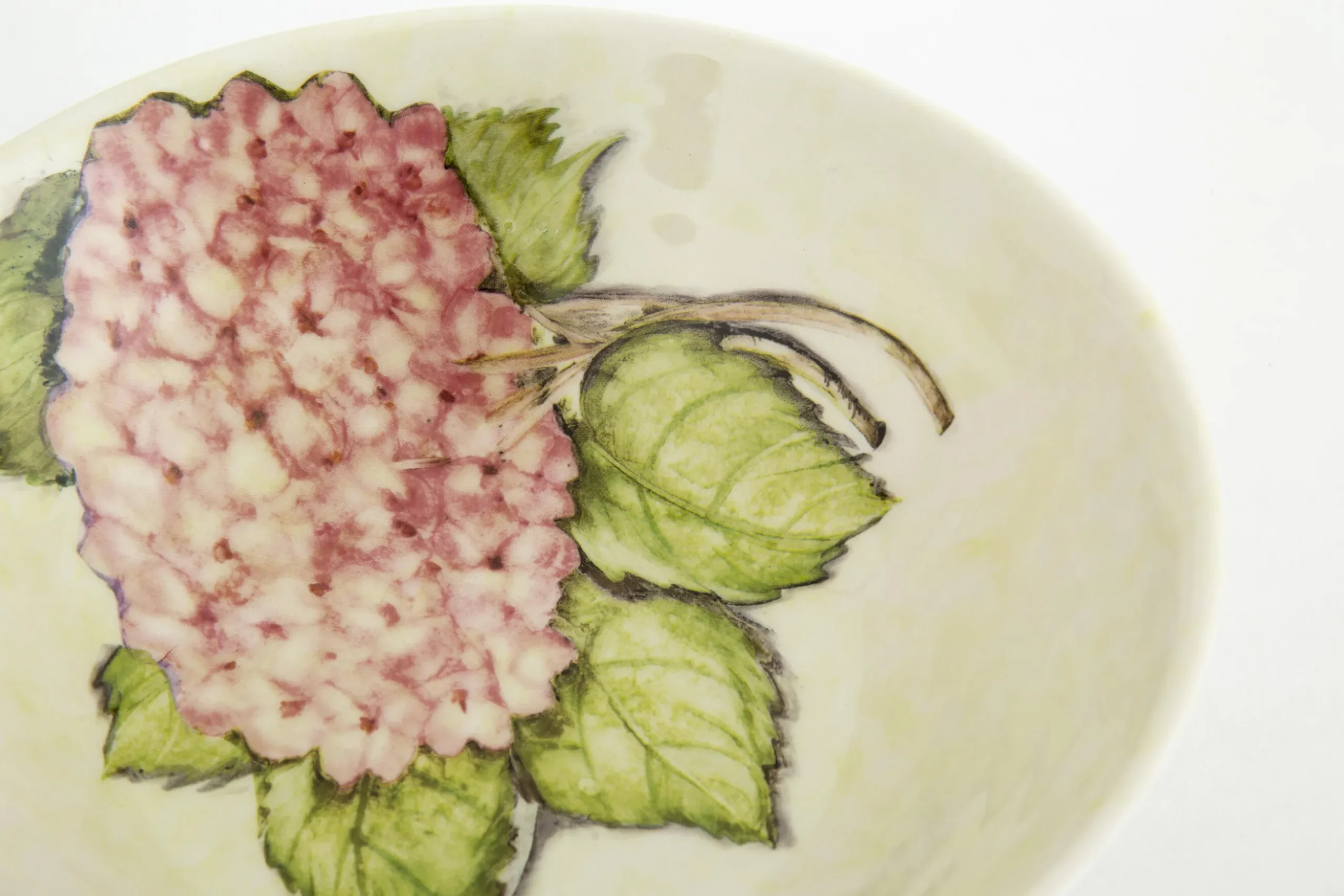 Villosa, Bowl, Ceramic, Flowers